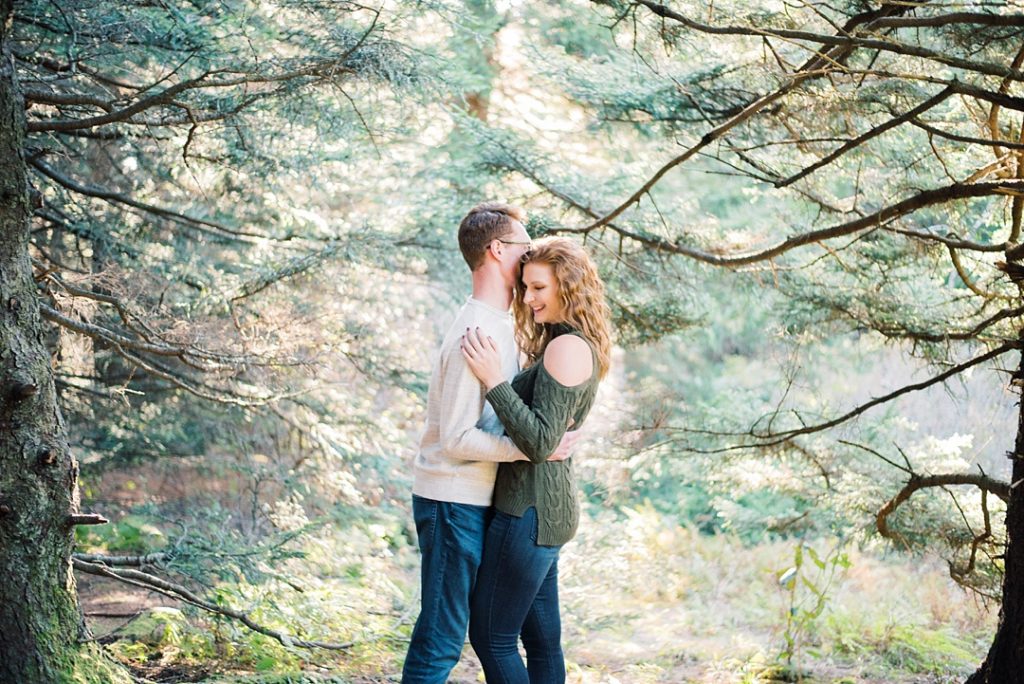 asheville mountain engagement black balsam max patch upstate sc engagement western north carolina weddings